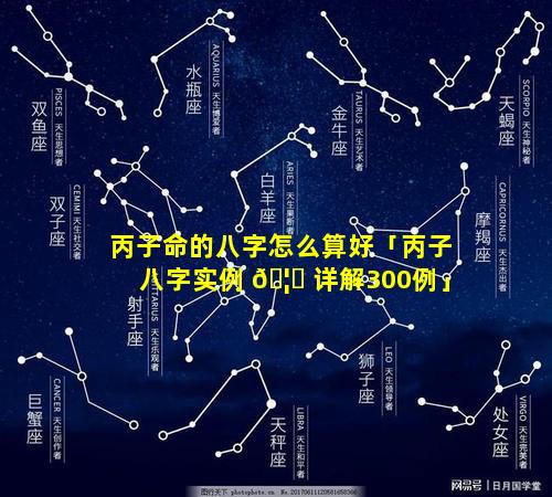 丙子命的八字怎么算好「丙子八字实例 🦍 详解300例」